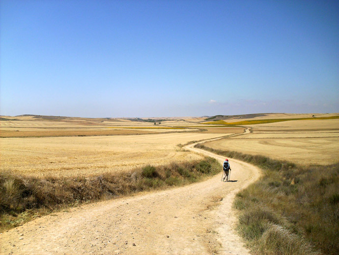 Meseta