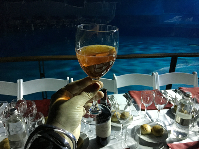 Capodanno insolito all'acquario di Genova