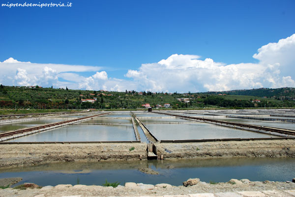 saline di sicciole
