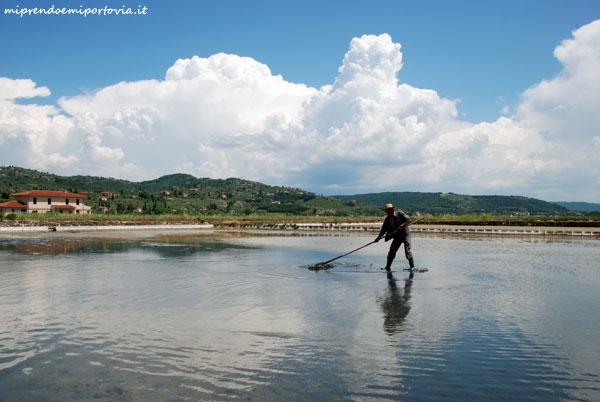 saline di sicciole