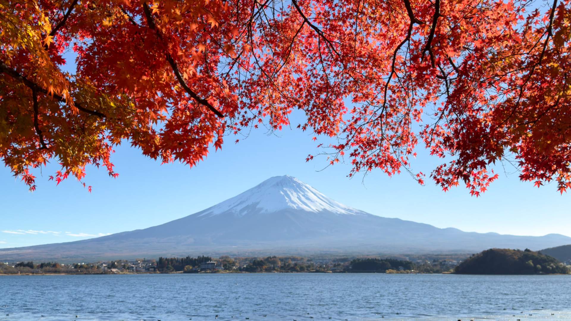 Vista sul monte Fuji dal lago Kawaguchi