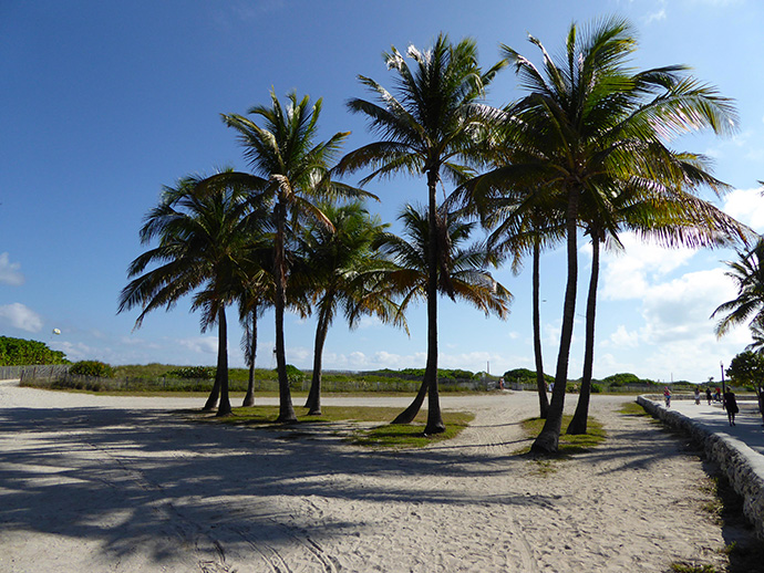 Cosa fare a Miami