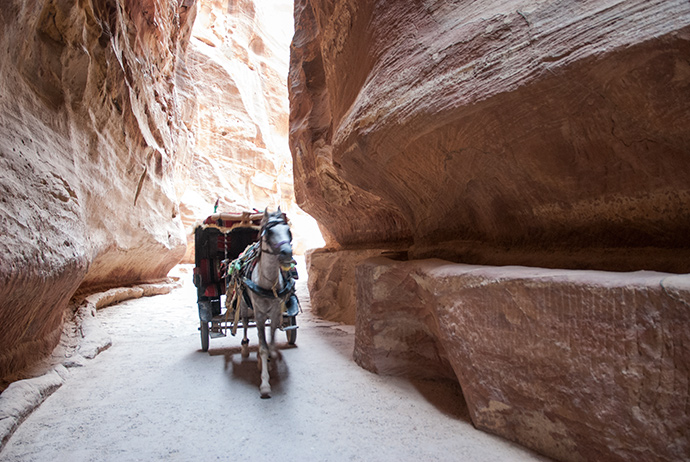 visitare Petra