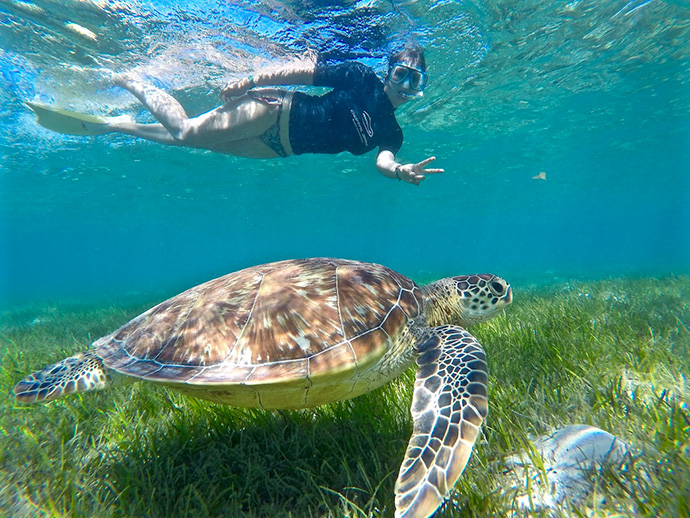 cosa vedere in Queensland