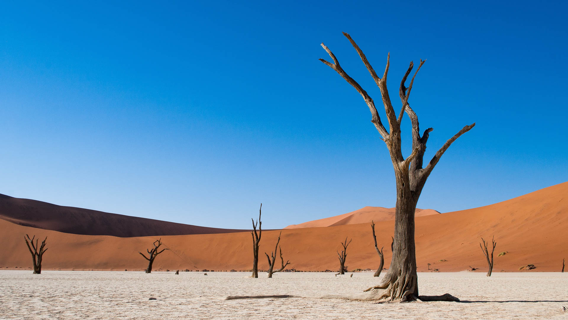 viaggio in namibia