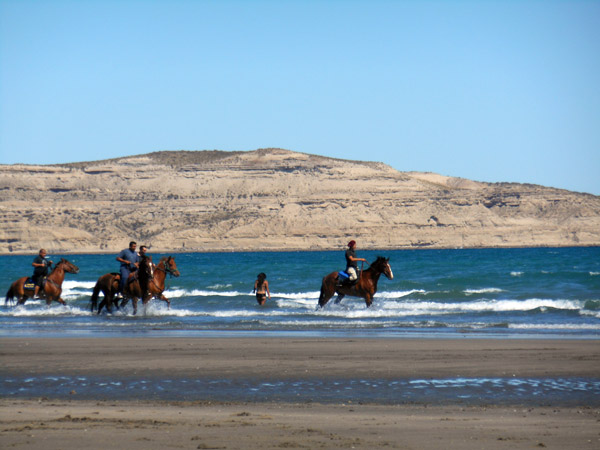 Argentina Mare