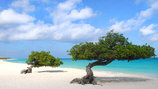 aruba
