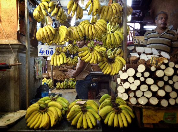 mercato di san luis mauritius