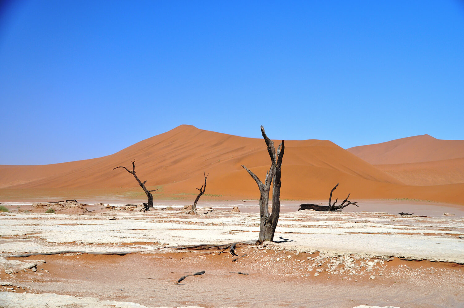 viaggio in Namibia