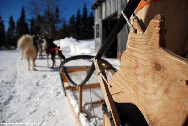 dogsledding canada