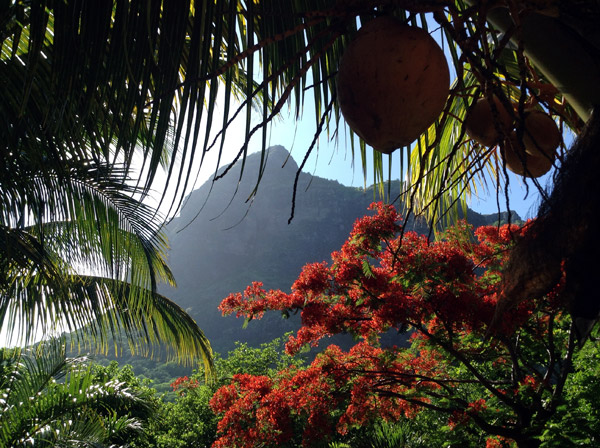 Le Morne