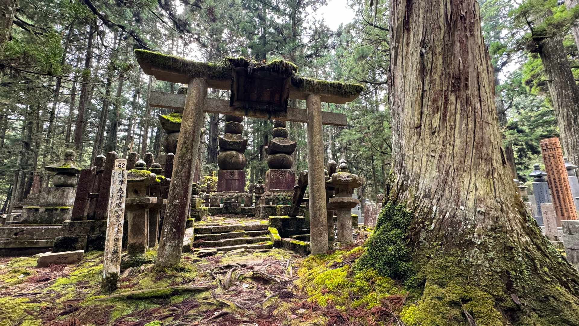 fotografia del cimitero okunoin sul monte koya