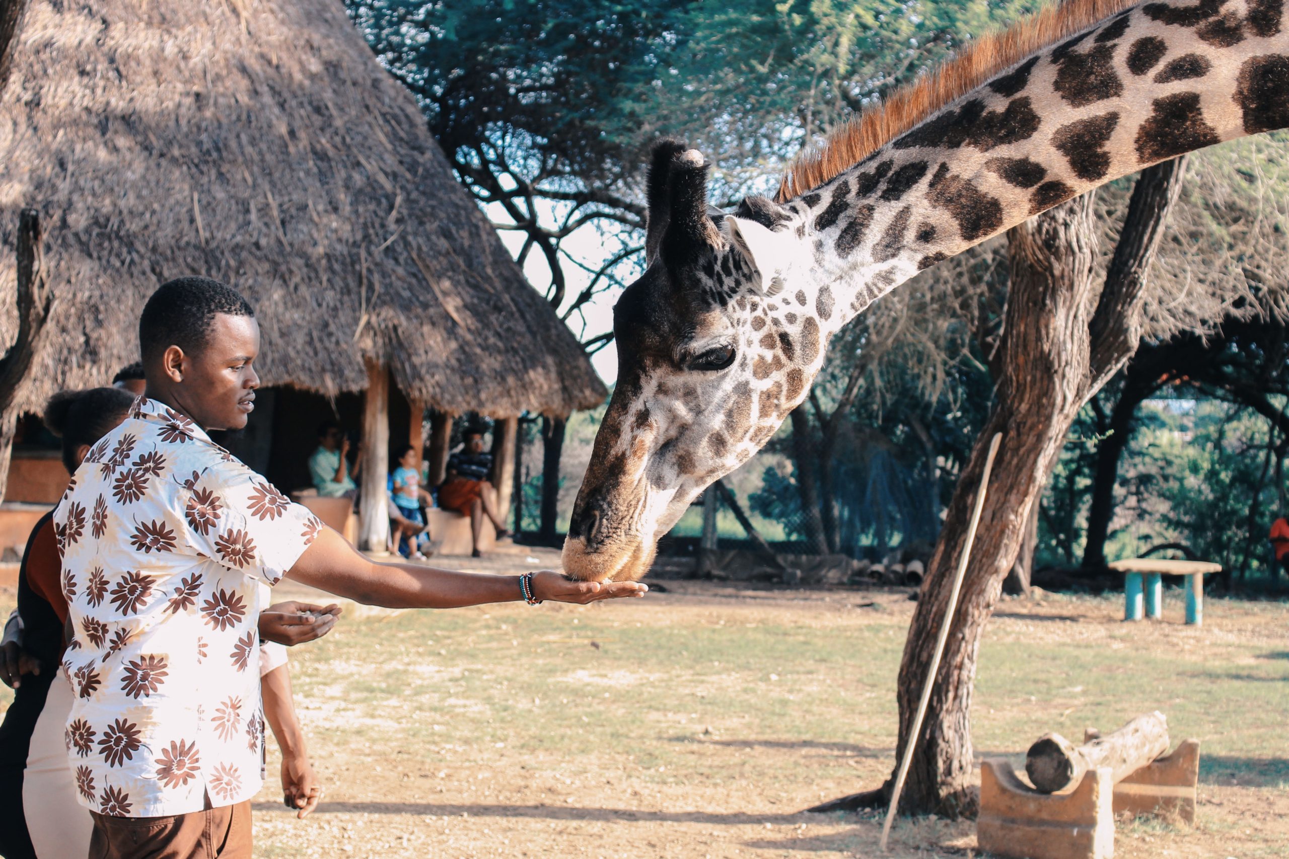 viaggio in Kenya