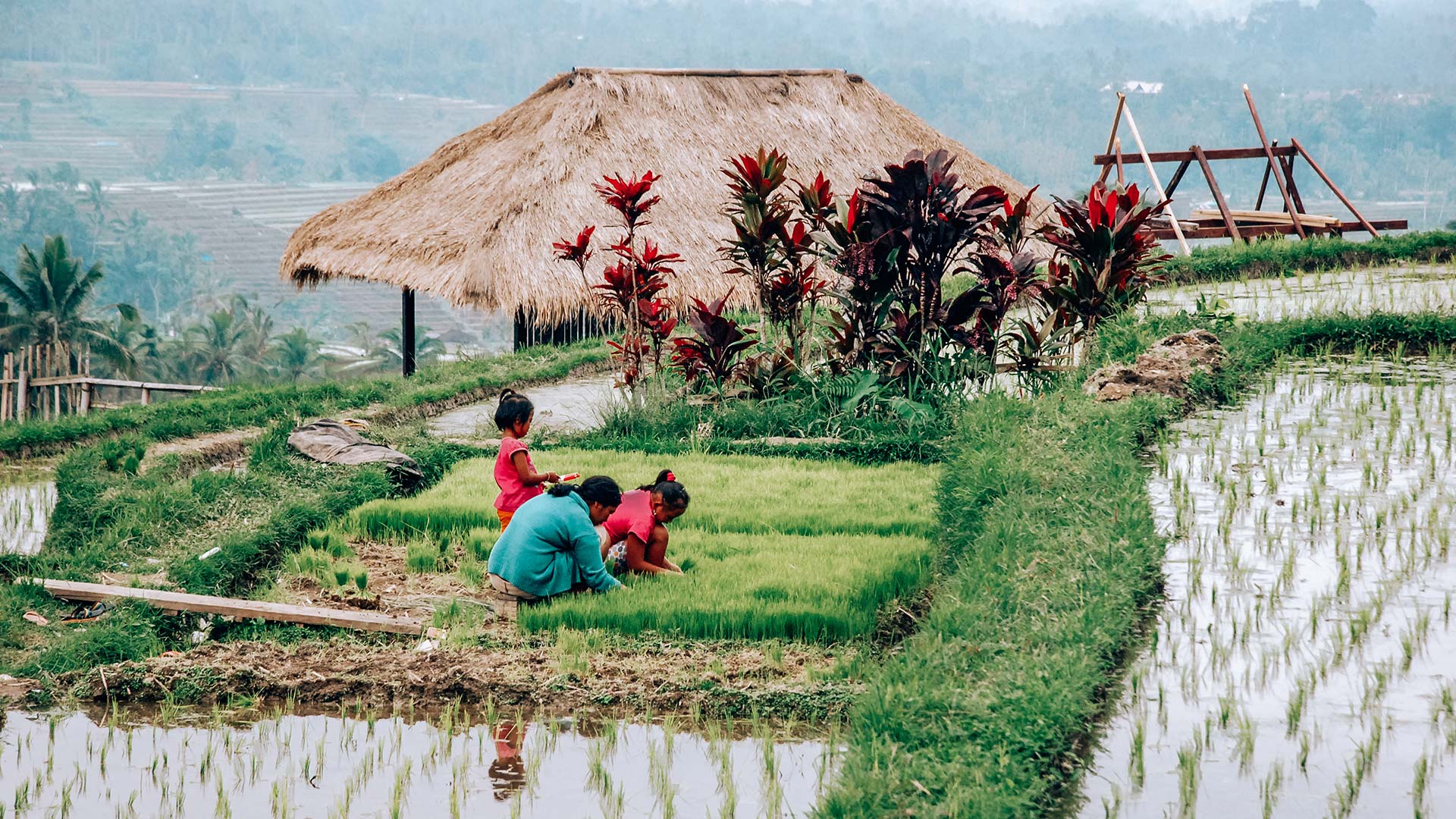 viaggiare sicuri indonesia